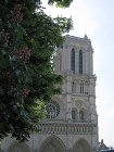 thn_Notre Dame 02.jpg